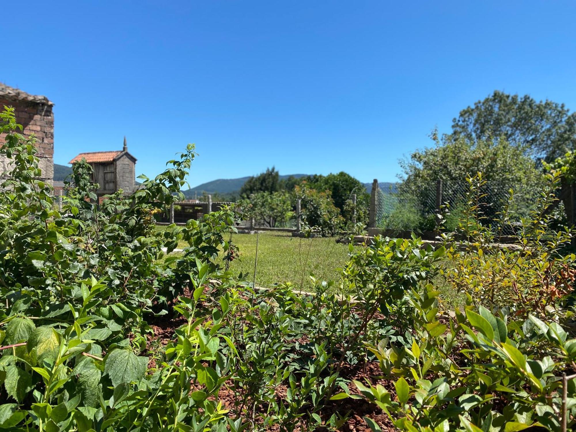 הוילה Padrón Casa Do Campo Lestrove מראה חיצוני תמונה